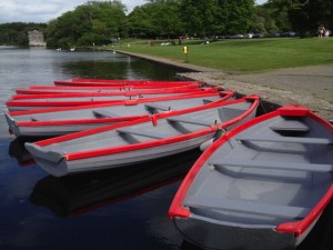 Rowing Boats