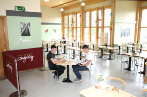 Restaurant /Cafe