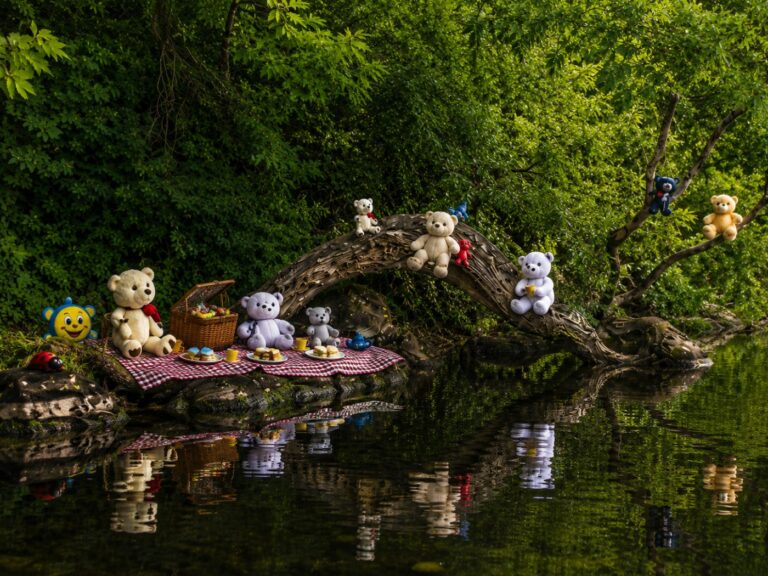 Picnic on Teddy Bear Island, Lough Key, Roscommon