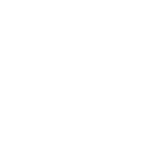 Protected icon white