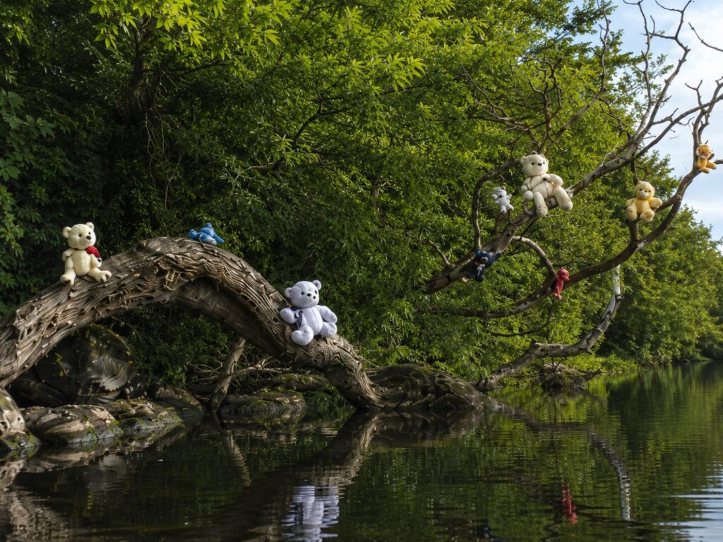 Teddy Bear Island, Lough Key, Ireland
