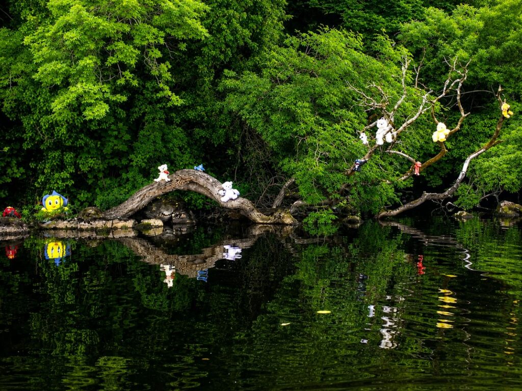 Teddy Bear Island, Lough Key, Roscommon