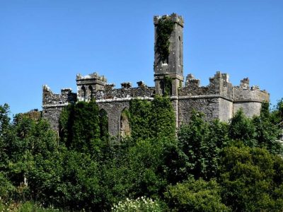 Castle-Island-Lough-Key2