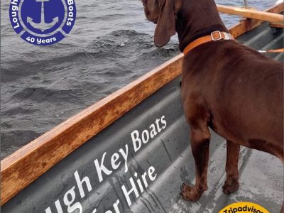 Dog Friendly rowing boat hire, Lough Key Boats