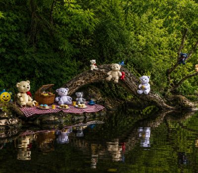 Picnic on Teddy Bear Island, Lough Key, Roscommon