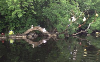 Teddy Bear Island, Church Island, Lough Key