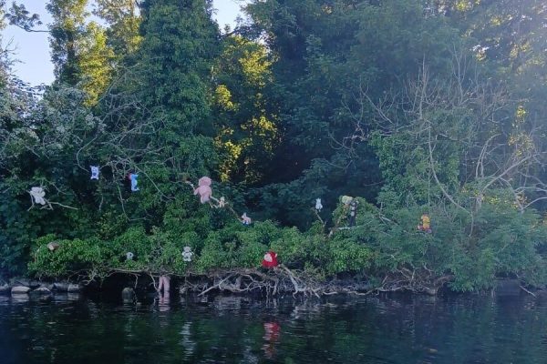Teddy Bear Island Church Island Lough Key