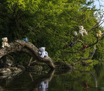 Teddy Bear Island, Lough Key, Ireland