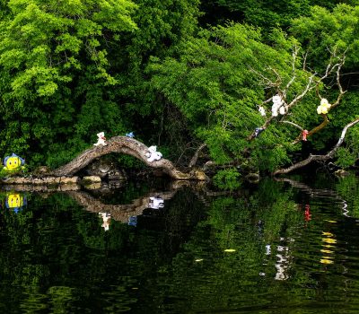 Teddy Bear Island, Lough Key, Roscommon