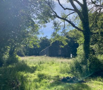 Trinity Island, Lough Key
